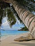 SEYCHELLES - 170 - Praslin, Anse Georgette